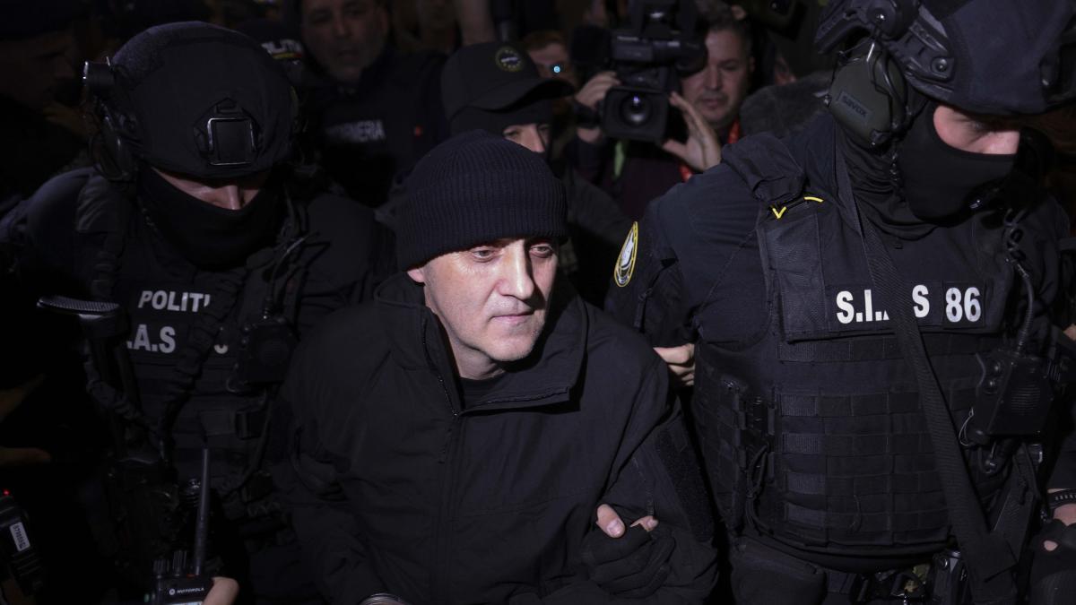 INSTANT_POTRA_OTOPENI_09_INQUAM_Photos_Octav_Ganea