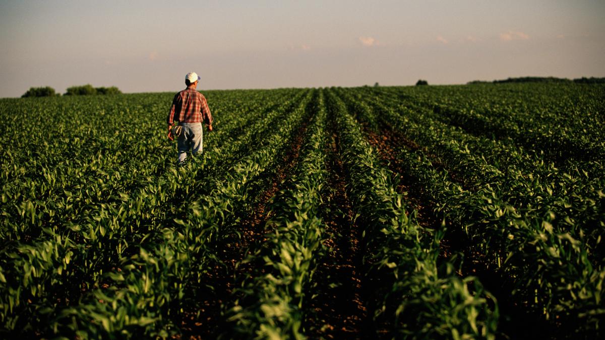 fermier pe un teren agricol