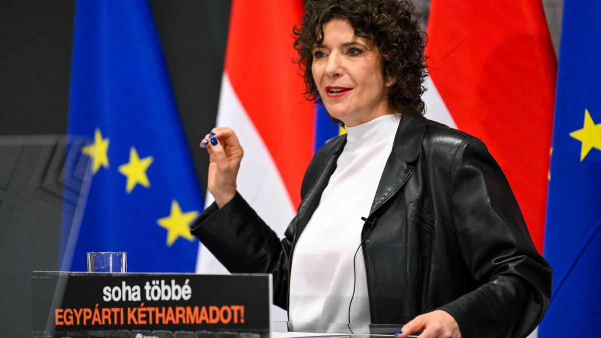 opozitia ungara vrea sa elimine dreptul de vot al maghiarilor cu dubla cetatenie care nu traiesc in ungaria