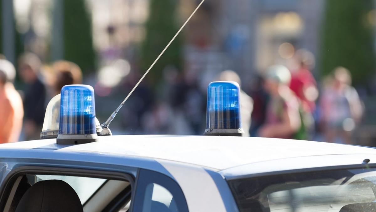 un turist roman a fost grav ranit dupa ce un copac urias s a prabusit peste el la roma