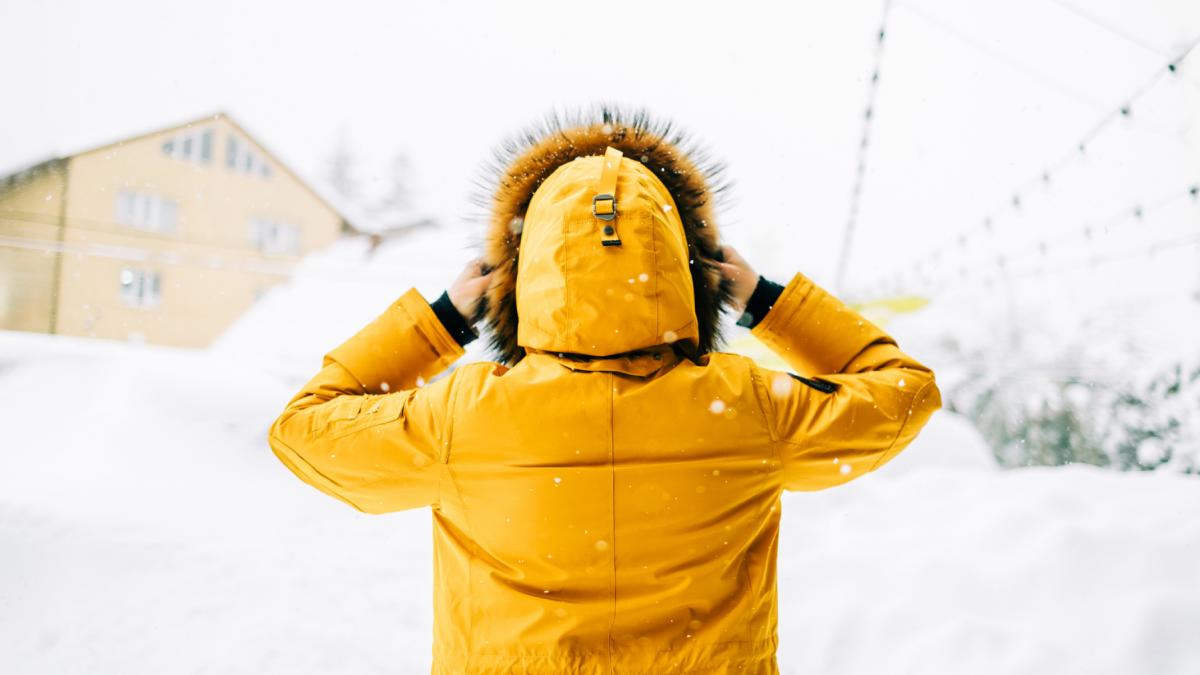 ger barbat geaca iarna zapada