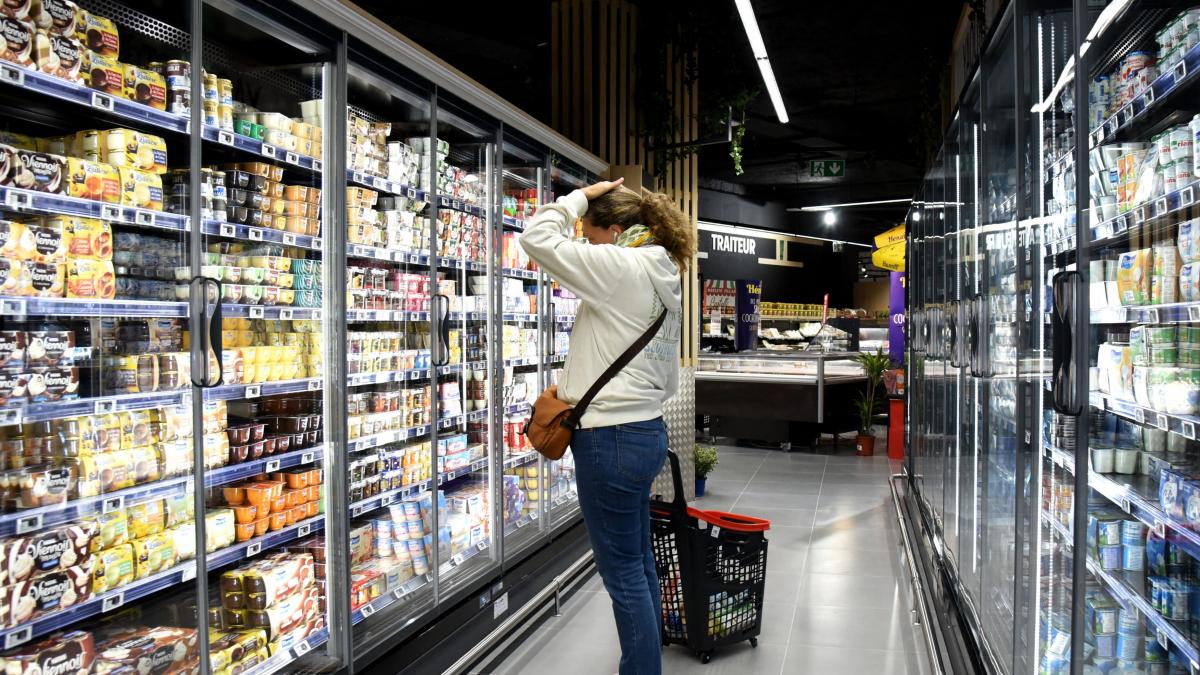 o persoana cu un cos de cumparaturi la supermarket se uita in vitrinele cu produse alimentare