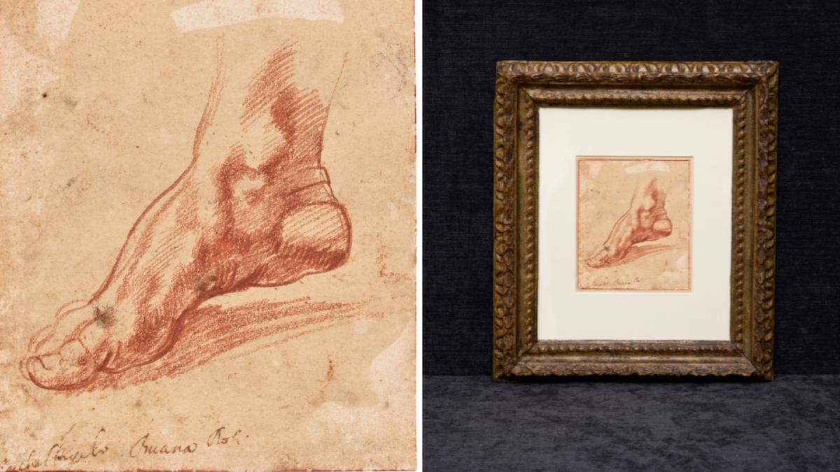 schita picior fresca michelangelo capela sixtina