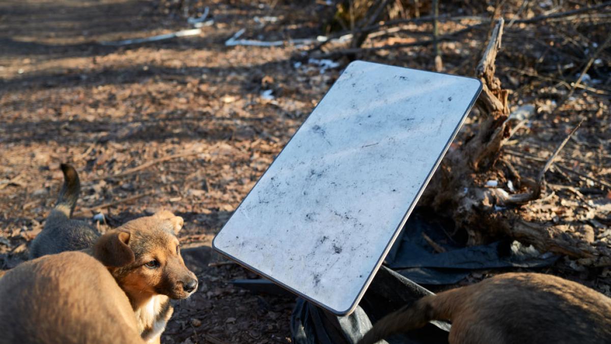 catastrofa starlink pentru armata rusa in ucraina militarii ucraineni avertizeaza ca atacurile cu drone nu s au redus semnificativ