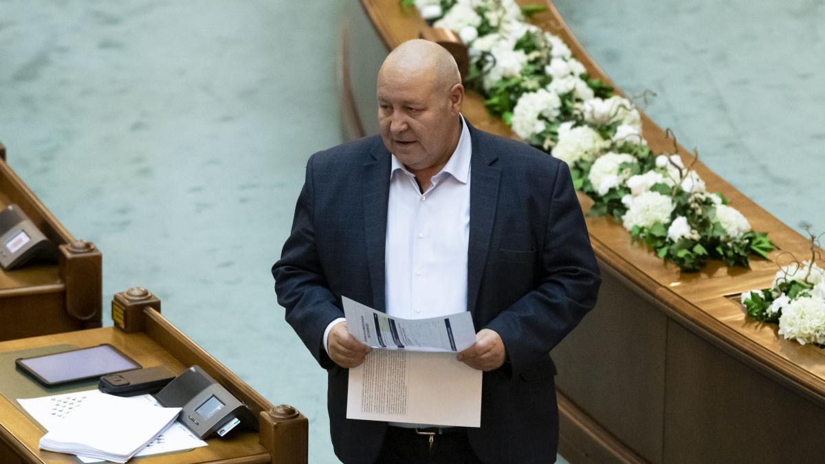 Liderul senatorilor PNL, Daniel Fenechiu