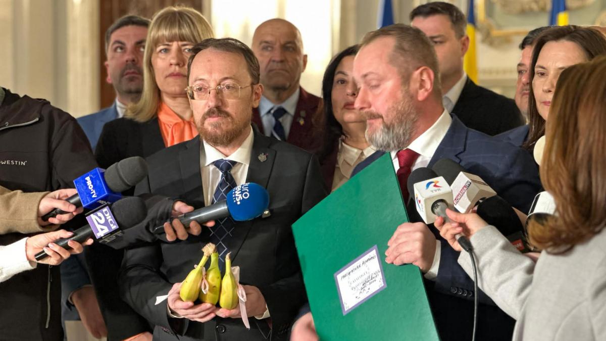 trei motiuni simple impotriva guvernului bolojan controverse privind groenlanda taieri pentru studenti si acordul ue mercosur