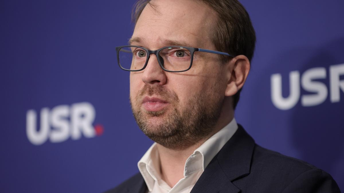 dominic fritz pierde procesul cu ani primarul din timisoara a fost in conflict de interese si risca sa iti piarda mandatul