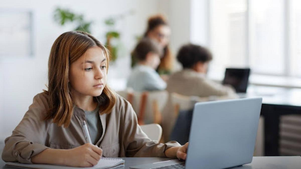 de la pasiune la performanta drumul catre excelenta in informatica