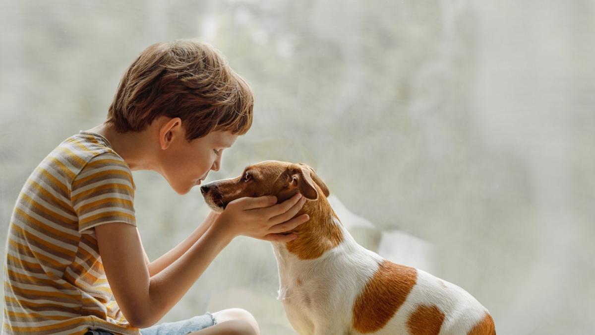 materia optionala ora cu si pentru animale va fi introdusa in scolile din romania