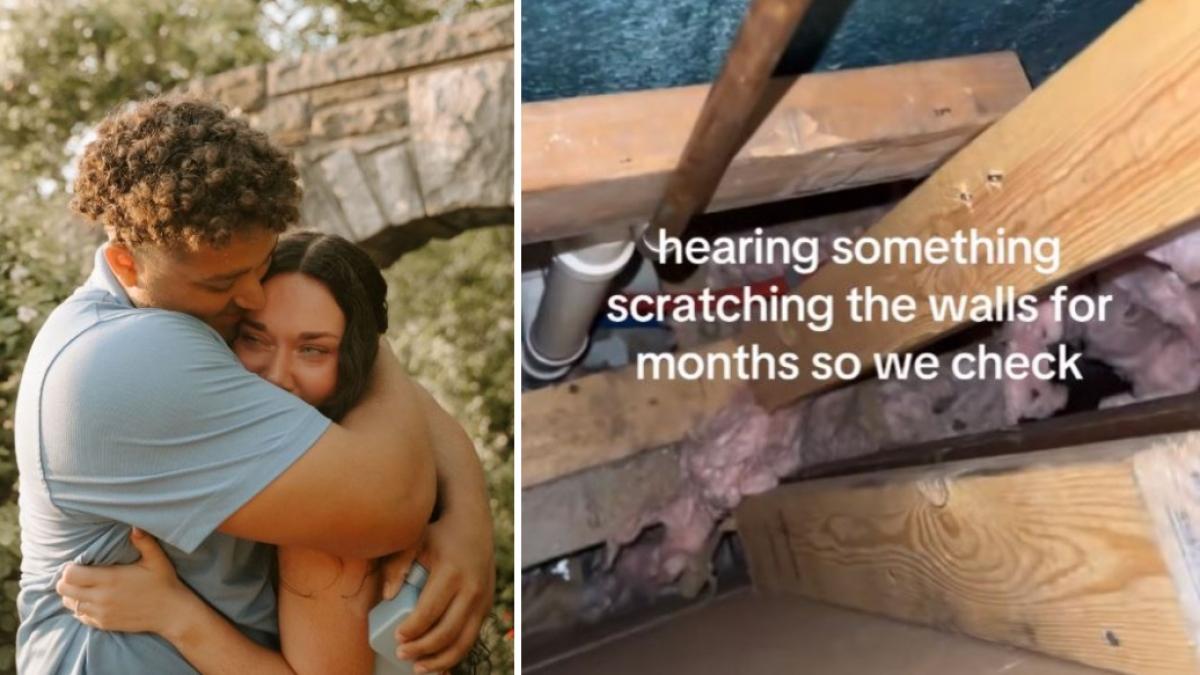 colaj 2 poze in care apar Maddie Neale şi logodnicul ei, dar si peretele pe unde au reusit sa filmeze ratonul care ii teroriza de luni intregi