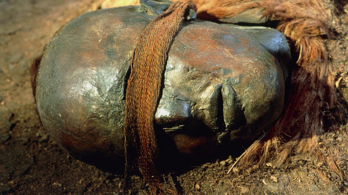 misterul mumiilor din mlastinile germaniei tehnologia moderna a reinterpretat cauza mortii si viata triburilor din epoca bronzului