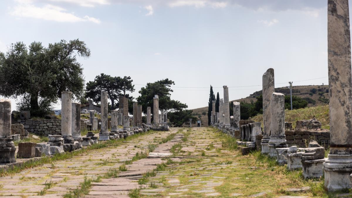 oamenii de stiinta au descoperit primele dovezi fizice ca romanii foloseau fecale umane pe post de medicament