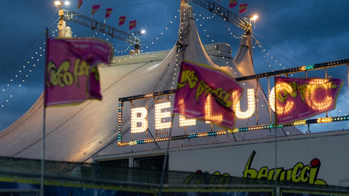 circo bellucci