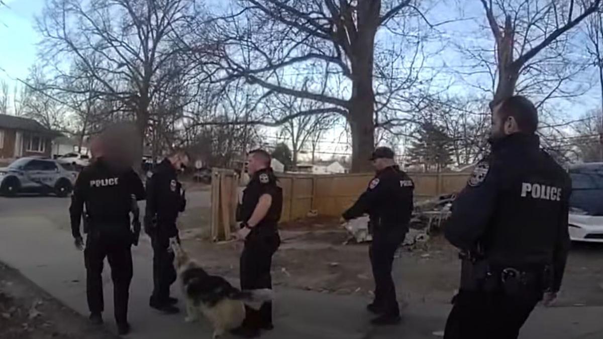 caine care i-a condus pe politisti la un copil disparut louisville kentucky