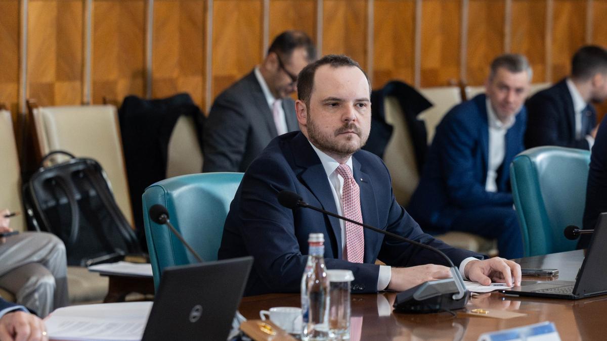alexandru rogobete in ședința de guvern