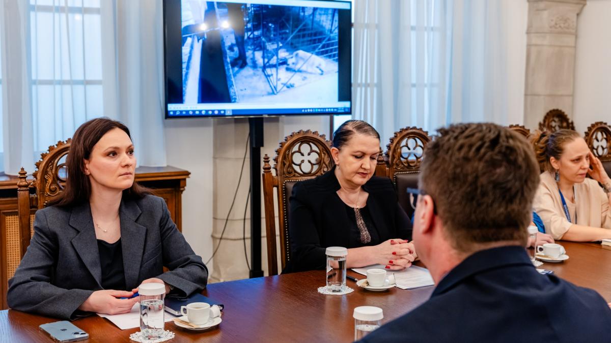 intalnire cotroceni intre reprezentantii ong urilor pentru animale si diana punga dupa ororile de la suraia