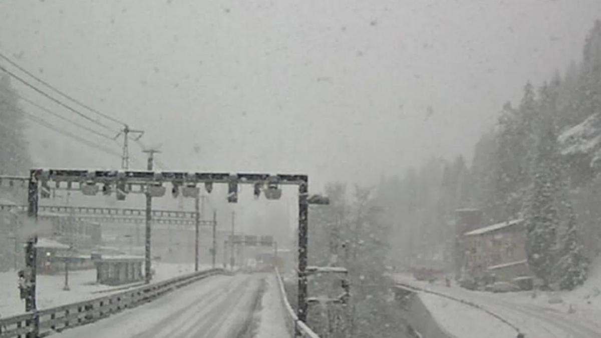 un tren cu 80 de pasageri a deraiat in elvetia din cauza unei avalanse mai multe persoane ar fi ranite