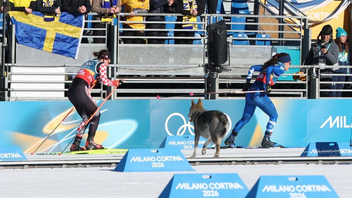 video momente amuzante la jo 2026 un catel simpatic s a luat dupa schioarele din proba de sprint si a trecut si el linia de sosire