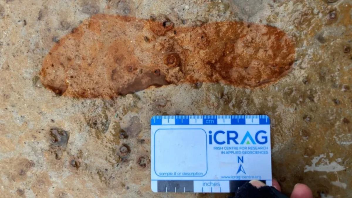 descoperire arheologica intr o cursa contra cronometru urme de pasi din epoca romana gasite pe plaja inainte sa le stearga mareea