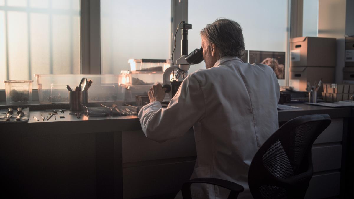 descoperire rara in siberia proteza primitiva de mandibula la o femeie scita care a trait in urma cu 2 500 de ani