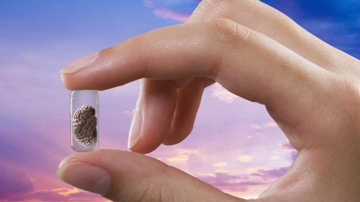 gata oamenii de stiinta au dezvoltat mini creiere apoi le au antrenat sa rezolve o problema de inginerie