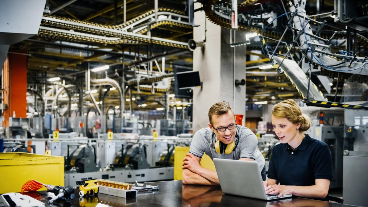 ins majoritatea sectoarelor industriale au crescut in 2025 cu exceptia industriei energetice