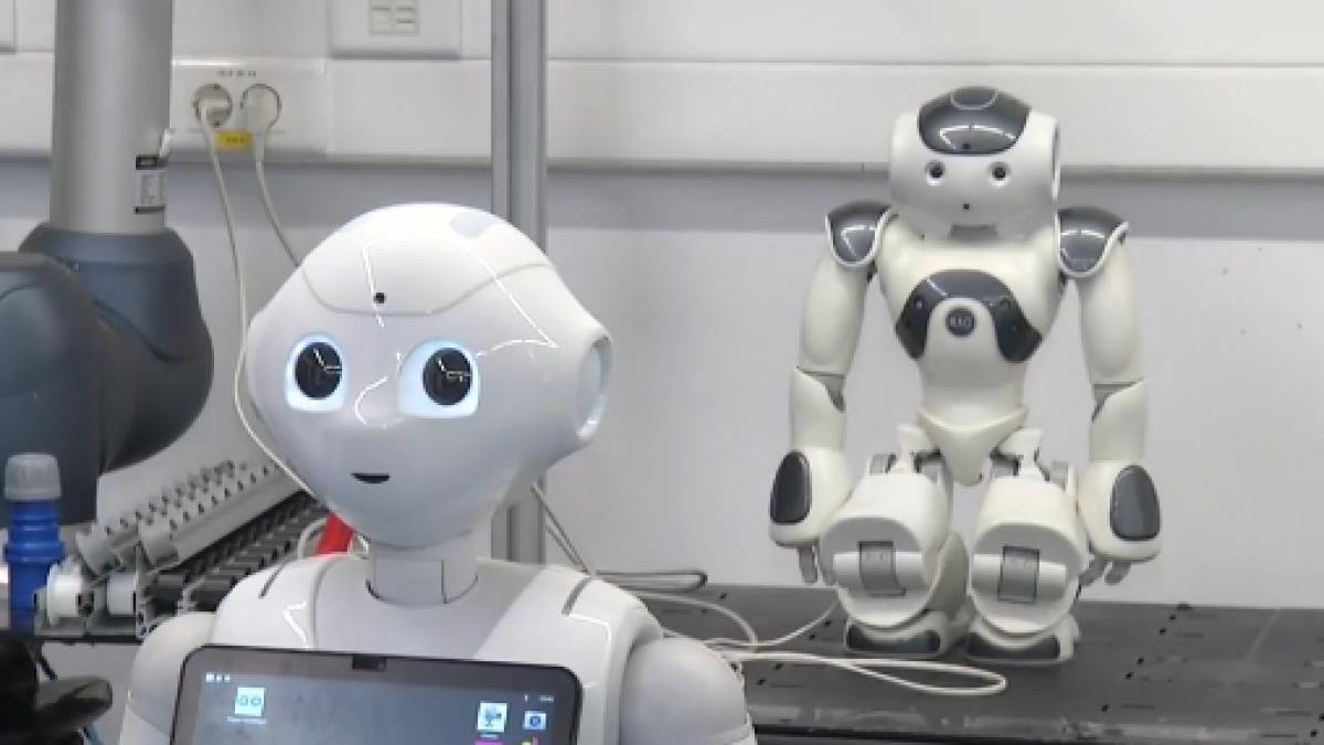 robotii viitorului sunt creati la cluj de la caine robot la barista automat