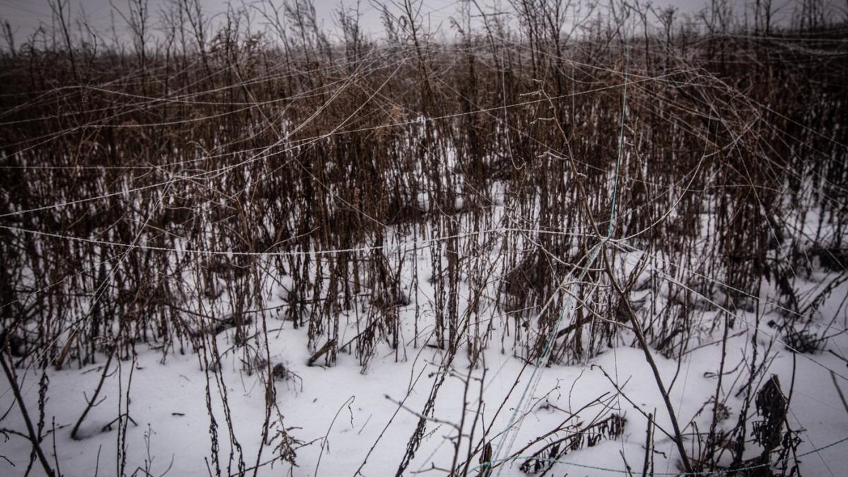 cablu de fibra optica pe camp