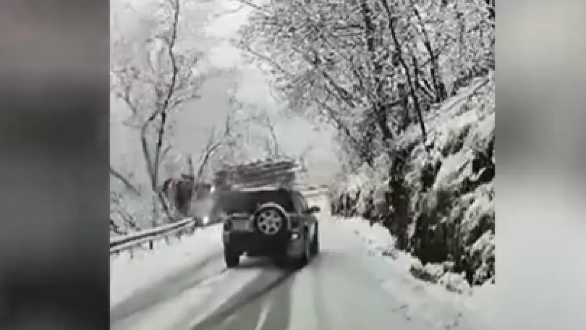 momente socante pentru un sofer a alunecat de pe un drum inghetat intr o rapa dupa ce a pierdut controlul volanului