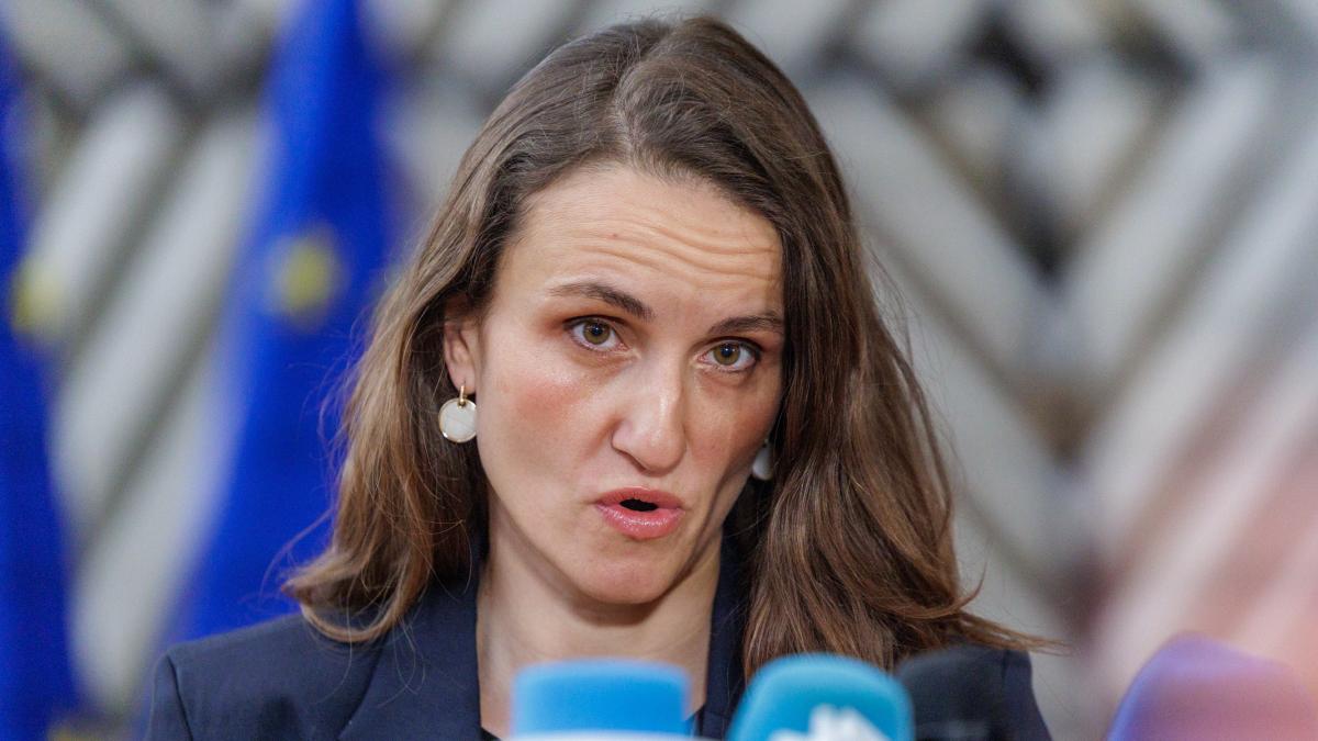 oana toiu ministrul afacerilor externe