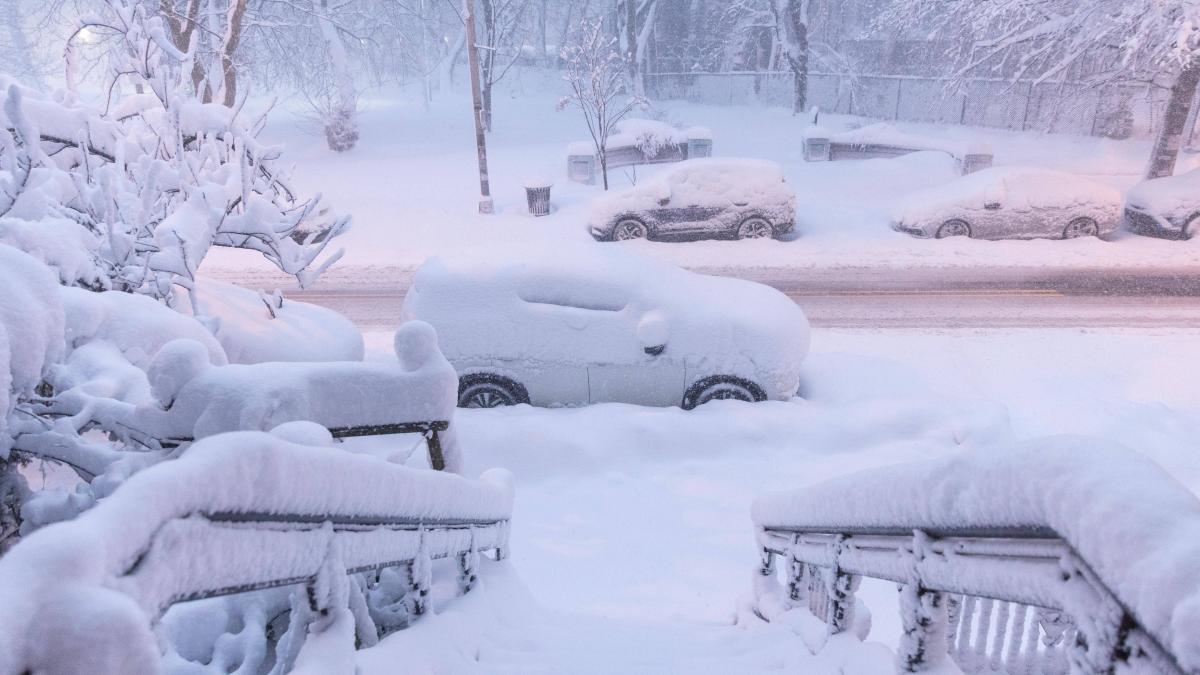 profimedia-1077633944