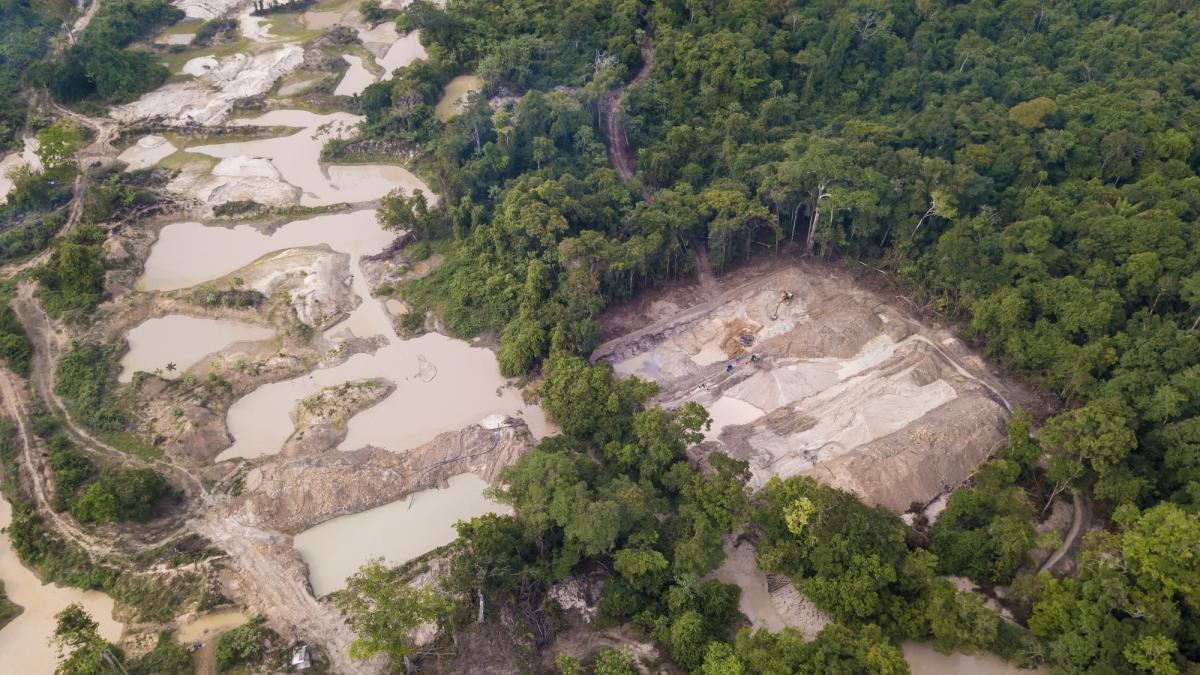 exploatarea ilegala a aurului se extinde pe amazon si ameninta o tara intreaga o criza cu efecte ireversibile