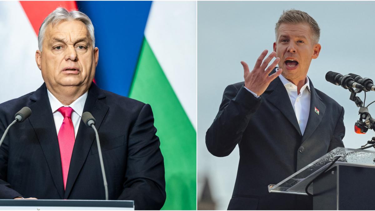 viktor orban scade in sondajele de opinie inainte de alegerile din ungaria partidul lui magyar are 20 in fata fidesz