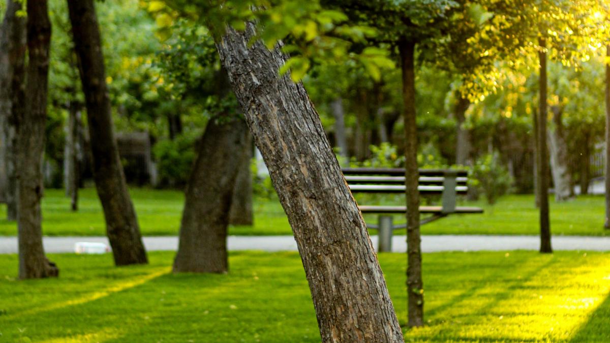 nordul bucurestiului va avea un parc nou in cartierul aviatiei din sectorul 1 pe ce strada se amenajeza si ce suprafata are terenul