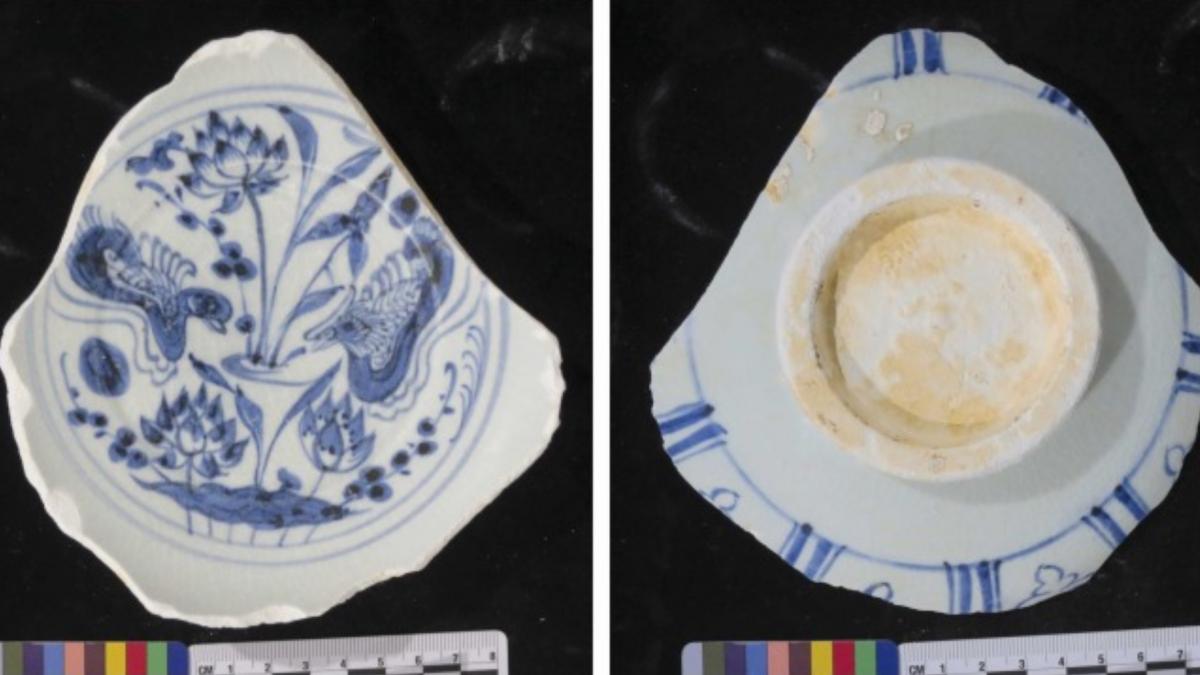 descoperire rara pe fundul marii o epava din secolul al xiv lea dezvaluie un transport record de portelan magic din dinastia yuan