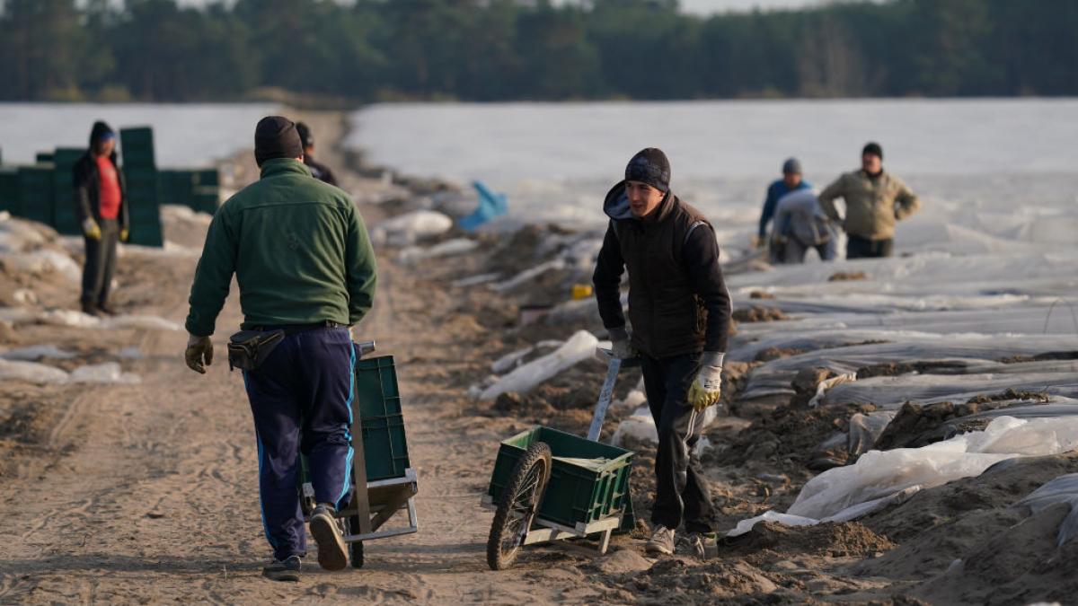 migranti romani in germania