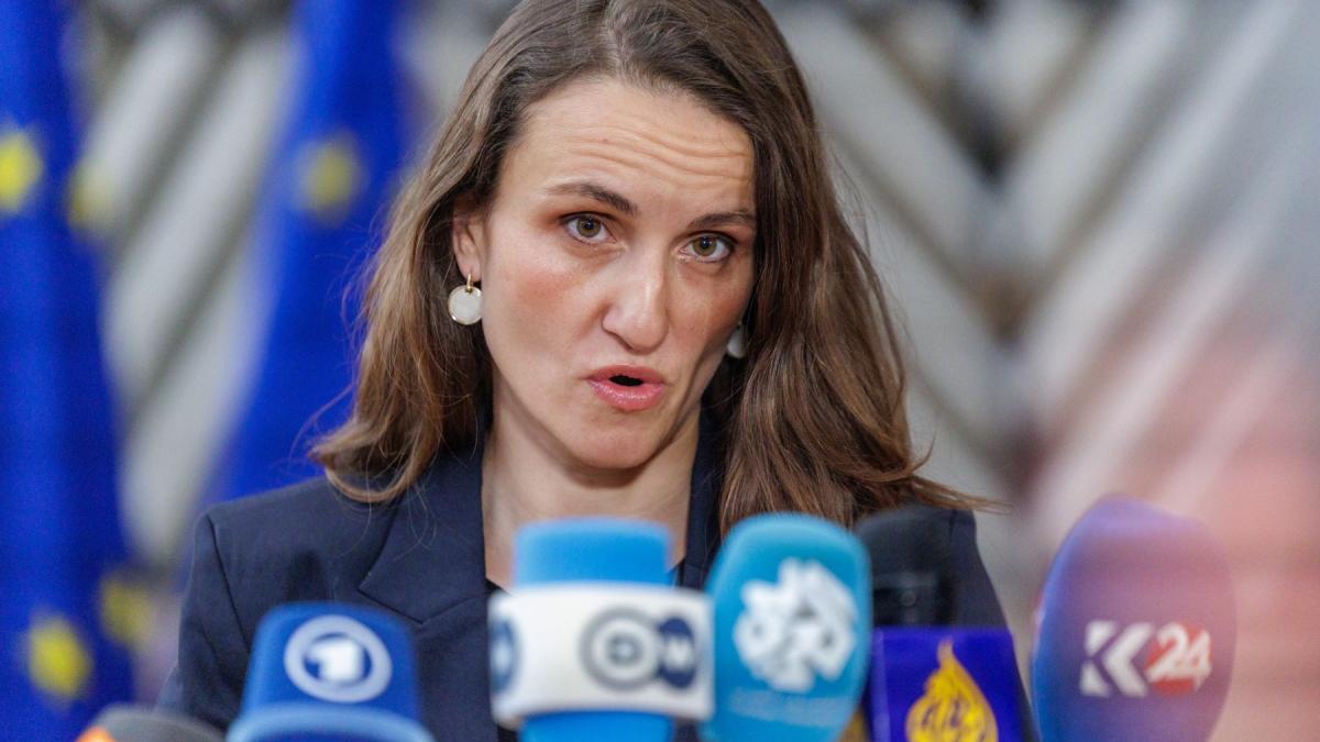 acuzatii grave aduse oanei toiu ar fi dat dispozitie ca fiica lui victor ponta sa fie scoasa din avionul din emirate