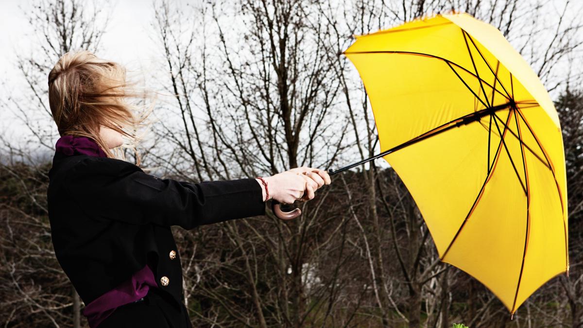 avertizari de la anm cod galben de vant in mai multe judete din moldova si dobrogea harta zonelor afectate