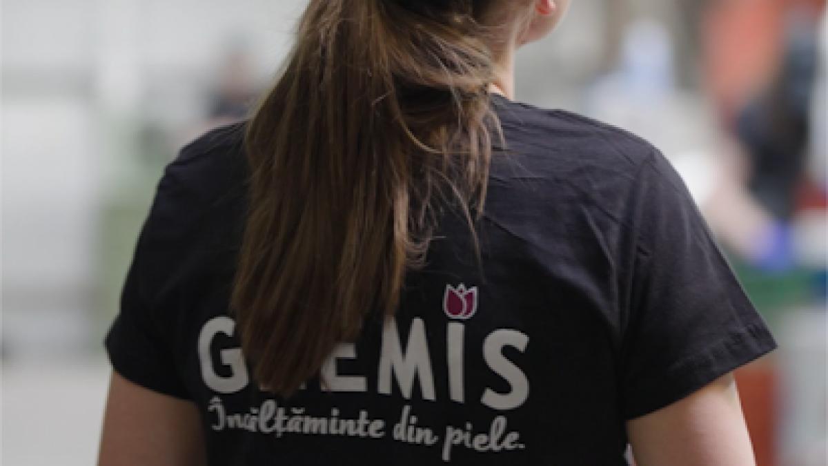 glemis.ro