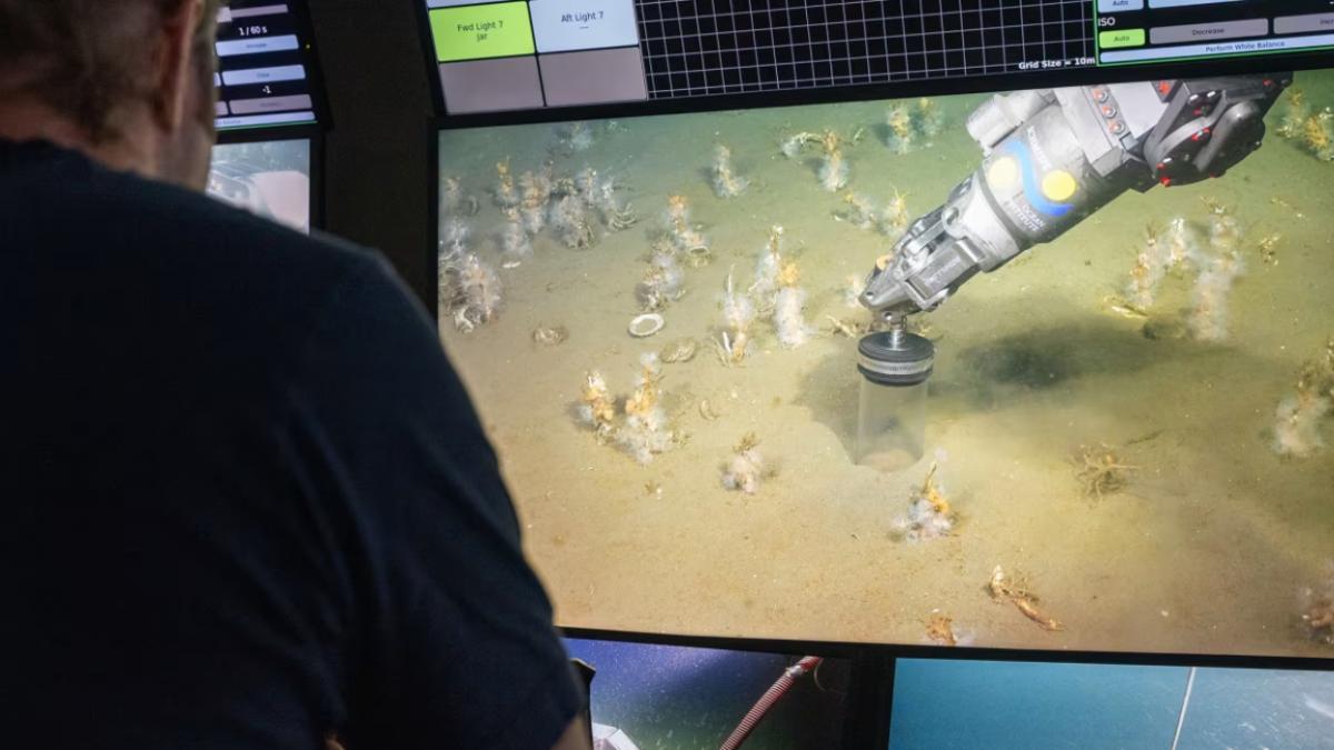 microbi analizati de un om de stiinta