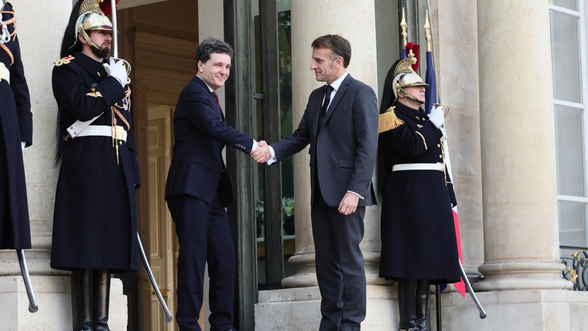 nicușor dan și emmanuel macron la palatul elysee