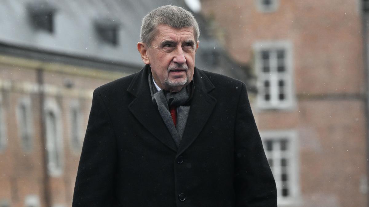 andrej babis hepta