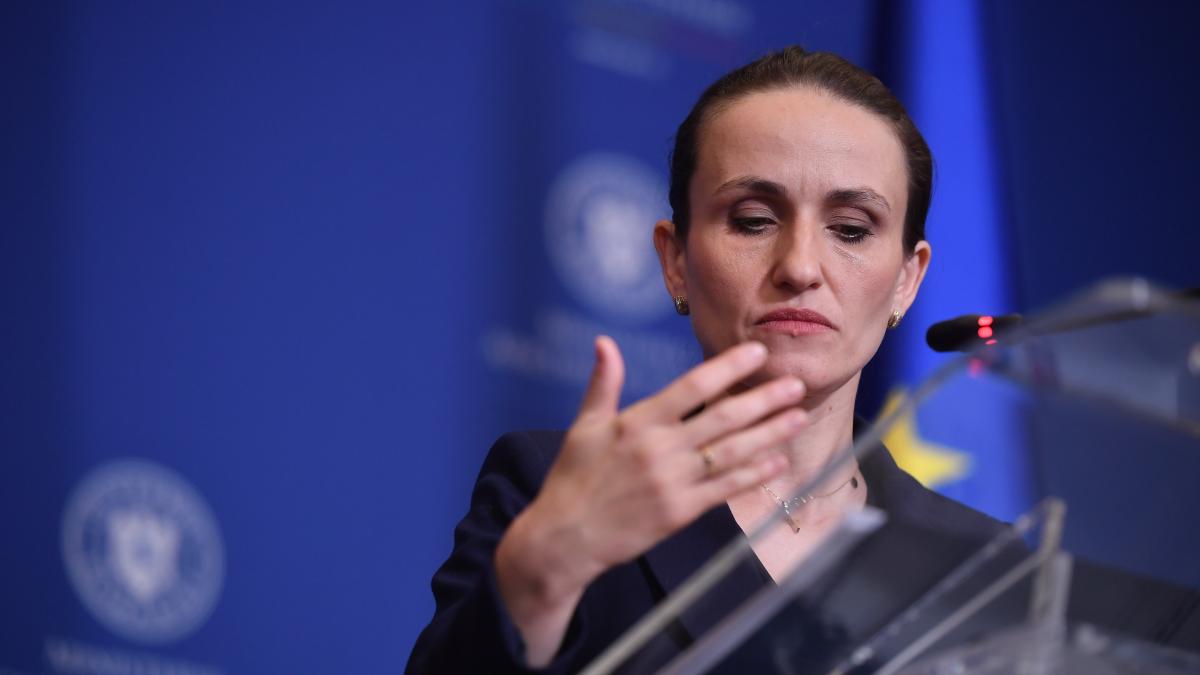 oana toiu revine cu explicatii consulul din dubai a fost cel care i a spus de cazul special al irinei ponta