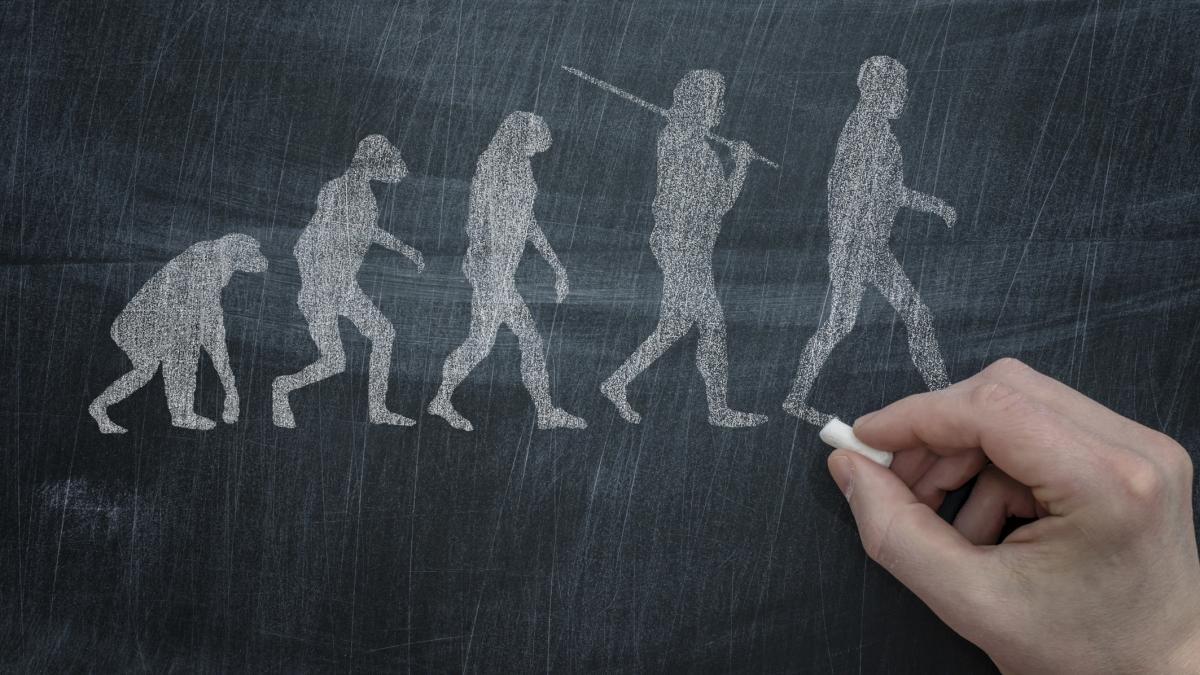 concluzia oamenilor de stiinta oamenii sunt descedentii bacteriilor primitive care au colonizat pamantul