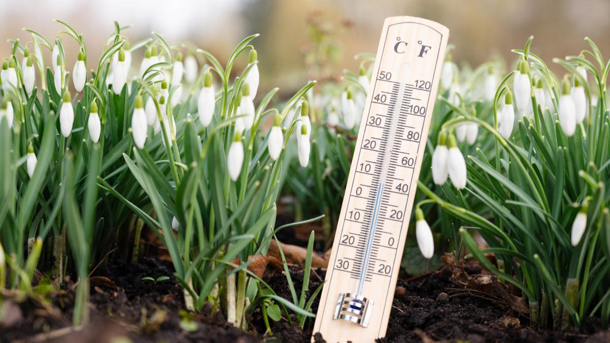 prognoza speciala pentru bucuresti pana marti meteorologii anunta temperaturi peste medie