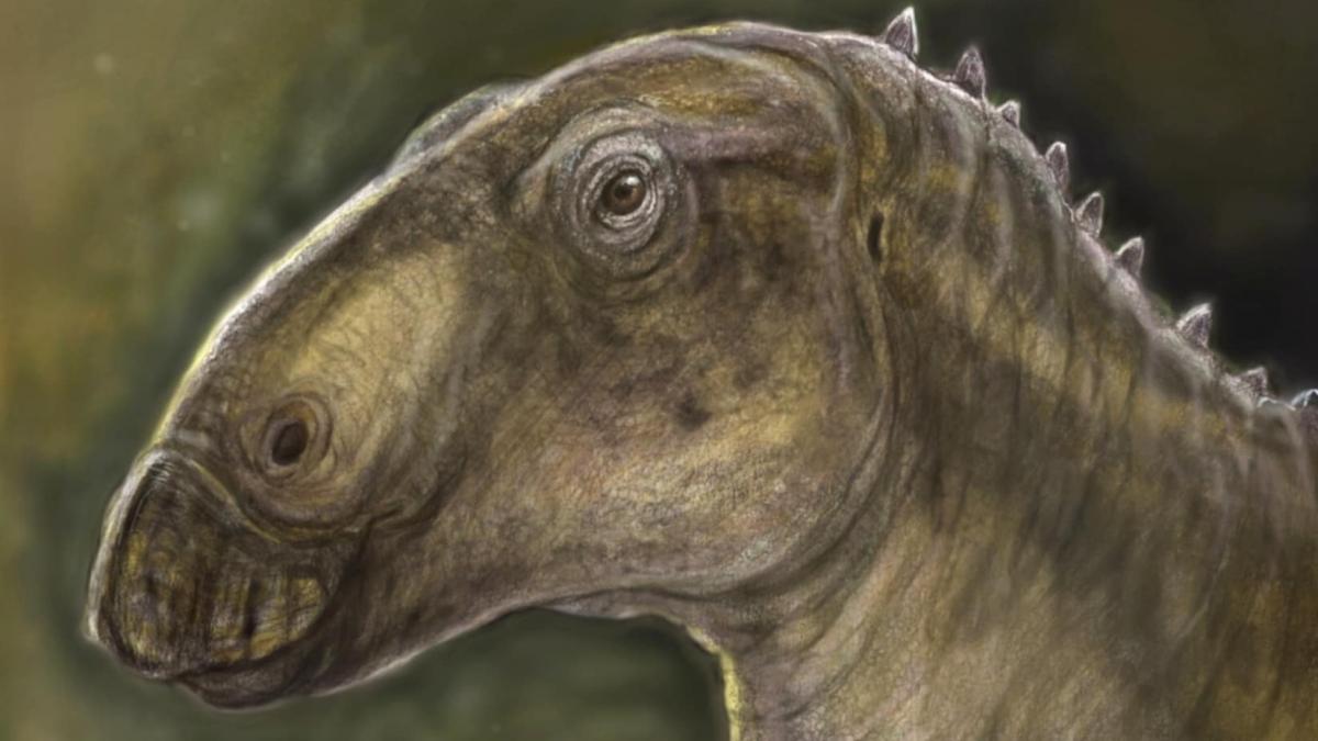 o noua specie de dinozaur a fost descoperita in geoparcul international unesco tara hategului