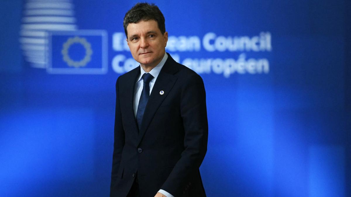 Nicusor Dan la Consiliul European