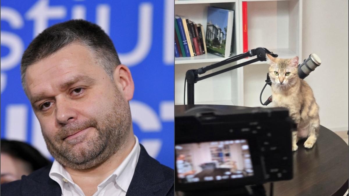 ciucu anunta ca si face podcast nu ma scalambai trei secunde pe tiktok sa cultiv ura a postat deja o poza cu pisica la microfon