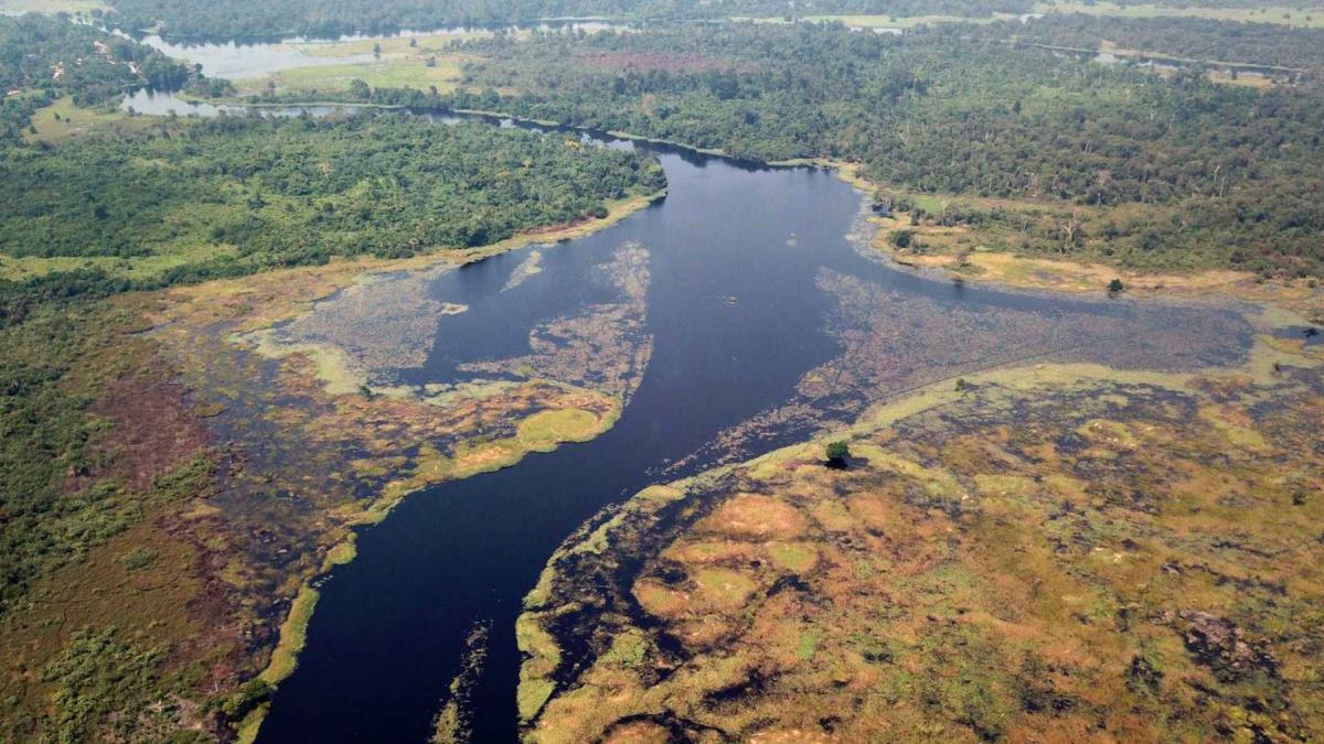 lacurile si raurile cu apa neagra din bazinul congo elibereaza acum carbon antic in atmosfera sunt miliarde de tone stocate acolo