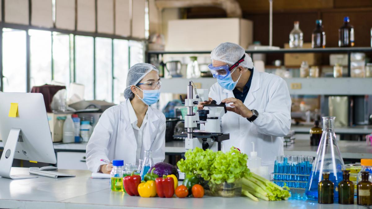 mancarea viitorului foie gras cultivat in laborator si ciocolata imprimata 3d sunt pe lista alimentelor cu sanse sa ajunga pe piata